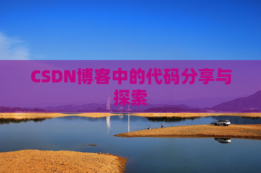 CSDN博客中的代码分享与探索